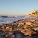Tarragona beach. Credit: 
Universitat Rovira i Virgili