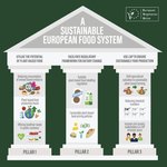 https://www.euroveg.eu/wp-content/uploads/2019/05/EVU_-Three-Pillars-for-a-Sustainable-European-Food-System_final.pdf