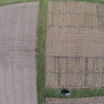 Aerial drone image showing two months of cover crop growth in Monmouth, Illinois in November, 2016. Image:  Dennis Bowman